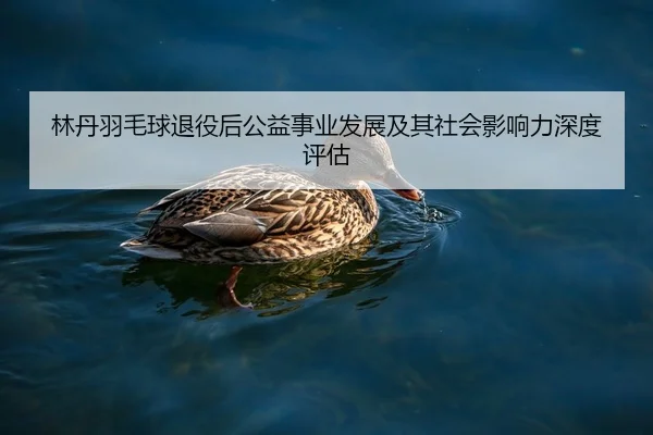 林丹羽毛球退役后公益事业发展及其社会影响力深度评估